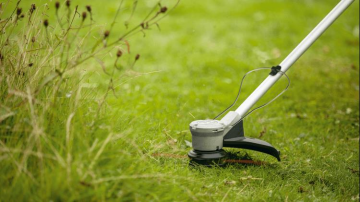 Bosch AdvancedGrassCut 36V-33 Kenar Kesme Solo