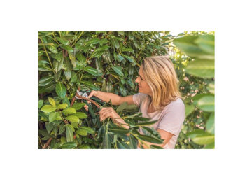 Bosch EasyPrune Akülü Adaptörsüz Dal Budama Makası