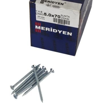 Meridyen Sunta Vidası 5.0x70 200 Lü Paket