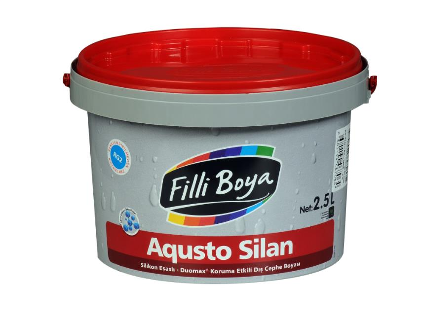 Filli Boya Agusto Silan 2.5 Lt RG5