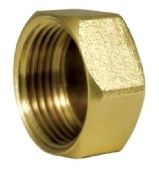 Kalde Gf Dişi Körtapa 1