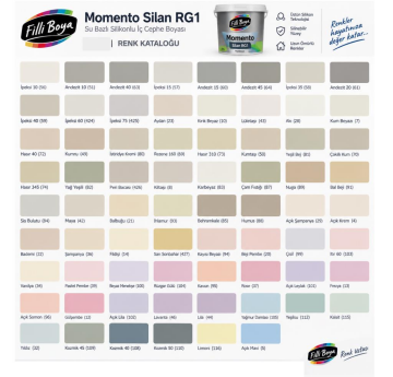 Filli Boya Momento Silan Rg1 15 Lt