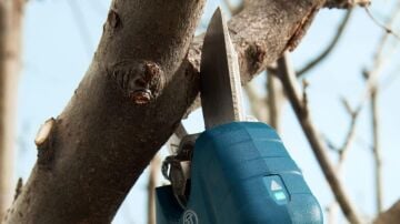 Bosch Pro Pruner 12 V Solo Akülü Dal Budama Makası