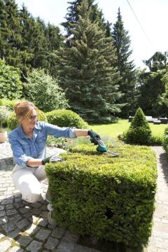 Bosch ISIO 3 Akülü Topiari ve Çim Biçme Makas seti