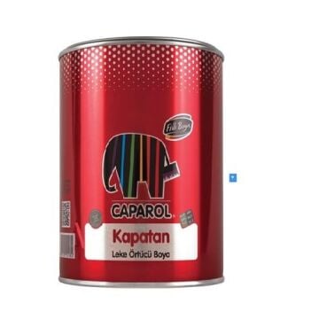 Filli Boya Caparol Kapatan 2,5 Lt.
