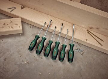 Bosch Home and Garden Tornavida Seti 6 Parça (Set 1) - 1600A02BX7