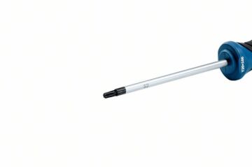 Bosch Professional Torx Tornavida TX20 x 100 Mm - 1600A01V0C