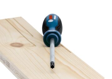 Bosch Professional Torx Tornavida Seti 6 Parça - 1600A01V09